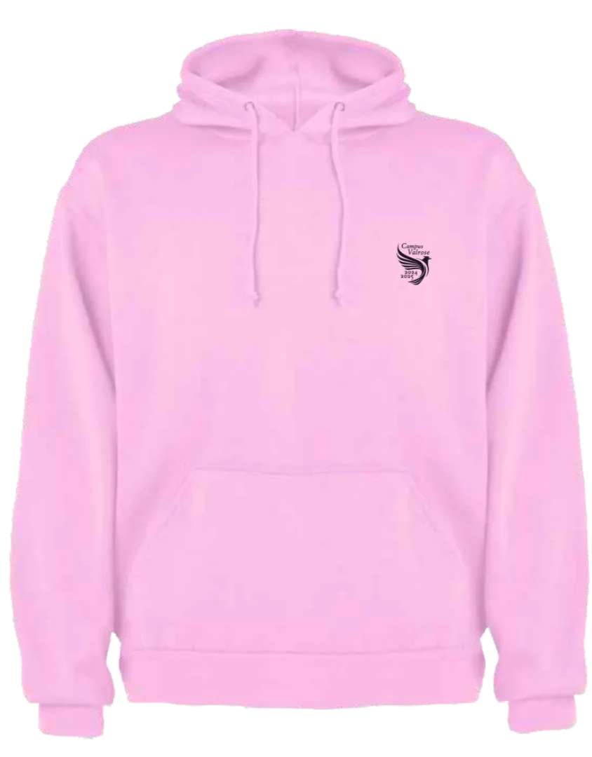 Pull collector 2024-2025, Rose, devant